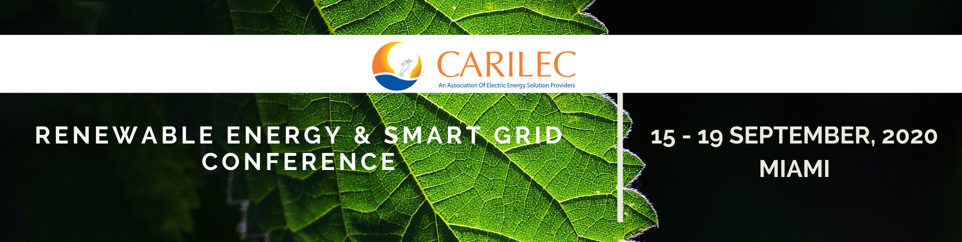 Renewable Energy & Smart Grid Conferen